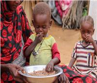 الأطفال يعانون من الجوع.. مدينة الفاشر السودانية تحت الحصار منذ 500 يوم
