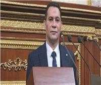 برلماني: وعي الشعب المصري يحبط مخططات الإخوان 