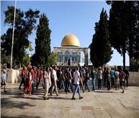 القدس تحت المقصلة.. الاستيطان يدفن حل الدولتين