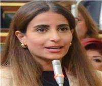 «خارجية النواب» تثمن إزالة الحواجز أمام السفارة البريطانية بالقاهرة