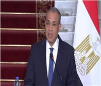 وزير الخارجية: الجهود المصرية القطرية مستمرة لدعم فلسطين ورفض عربي قاطع للتهجير