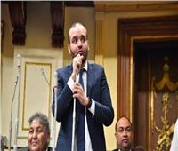 برلماني: بيان الخارجية درس قاسي لنتنياهو