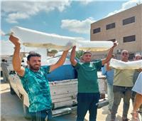 «تنمية البحيرات»: إلقاء مليون وحدة زريعة أسماك بلطي بواحة سيوة
