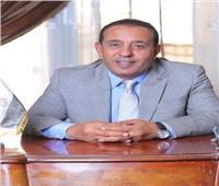 برلمانى: مصر الركيزة الأساسية لأي تحرك عربي لحماية الأمن القومي‎
