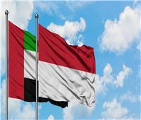 رئيس الإمارات ونظيره الإندونيسي يبحثان تعزيز العلاقات الثنائية والقضايا الدولية