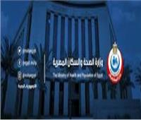 «الصحة» تنظم ورشة عمل حول البرنامج الإلكتروني للترصد الحشري