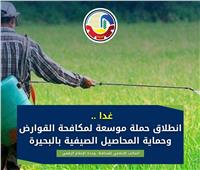 انطلاق حملة مكافحة القوارض وحماية المحاصيل بالبحيرة.. غدًا  