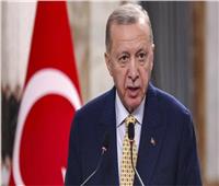 أردوغان: حكومة نتنياهو تستهدف إبادة الفلسطينيين وجر المنطقة للفوضى