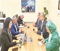 محطات إسالة وبنية تحتية متطورة.. ومشروعات للتكامل الإقليمى