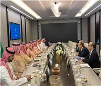 وزير الخارجية ووزير الصناعة السعودي يؤكدان على أهمية تكثيف التعاون الثنائي