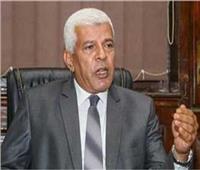 نقيب الزراعيين: بورصة القطن رفعت الأسعار وشجعت الفلاحين على زيادة المساحات