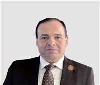 أمين أمانة التنمية بحماة الوطن: استثمارات الطيران مفتاح النمو الاقتصادي والتنمية المستدامة بمصر‎