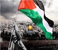 مجلس السفراء العرب المعتمد لدى فرنسا يقدم التهنئة لسفيرة فلسطين على اعتراف باريس بدولة فلسطين