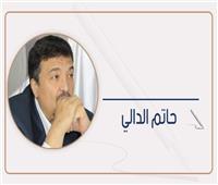 حاتم الدالي يكتب: الحصانة البرلمانية ليست مداعبة انتخابية.. بل مسؤولية دستورية