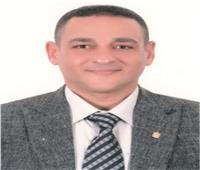 أسامة ندا عميداً لكلية الفنون التطبيقية بجامعة بنها 