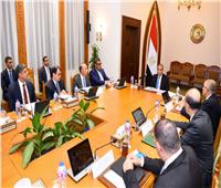 وزير الخارجية يترأس اجتماع مجلس إدارة الوكالة المصرية للشراكة من أجل التنمية
