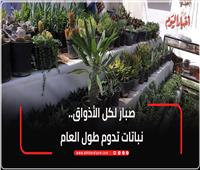 صبار لكل الأذواق.. نباتات تدوم طول العام| فيديو 