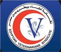نقابة الأطباء البيطريين تكرم أعضائها المشاركين فى حرب أكتوبر السبت المقبل