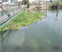 الري: إثيوبيا قامت بتصريف 2 مليار م³ مياه دون مبرر.. وإدار سد النهضة «عشوائية»