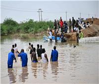 الري: سد النهضة ألحق خسائر فادحة بالسودان.. وإثيوبيا تستعرض سياسيًا