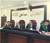 جنايات دمنهور تقضي بالسجن المؤبد للمتهم بقتل عريس من ذوى الهمم بدمنهور