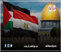 مصر تحمل لواء القضية الفلسطينية على مر التاريخ| إنفوجراف
