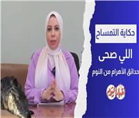 طوله 90 سم.. «حكاية التمساح اللي صحّى سكان حدائق الأهرام من النوم!»| فيديو