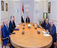 الرئيس السيسي يستقبل نائب رئيس شركة «إكسون موبيل» العالمية لشؤون الاستكشاف