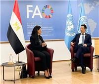 وزيرة التخطيط تبحث مع مدير عام الفاو تعزيز العلاقات في الأمن الغذائي