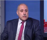 أستاذ علوم سياسية: مصر أثبتت أنها ركيزة الاستقرار والسلام بالمنطقة