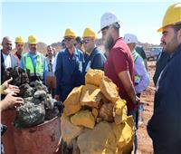 محافظ الجيزة يتفقد مناجم شركة الحديد والصلب بالواحات البحرية| صور