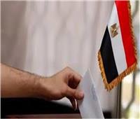 المستشار أحمد بنداري: القواعد المنظمة للدعاية الانتخابية ثابتة 