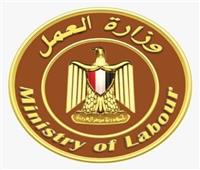 العمل: تحديد الحد الأدنى للأجور يتم بتوقيتات محددة.. وقرارات الزيادة لا تصدر عشوائيا