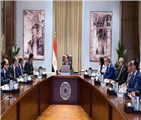 رئيس الوزراء يتابع إجراءات طرح مشروع حدائق تلال الفسطاط للإدارة والتشغيل