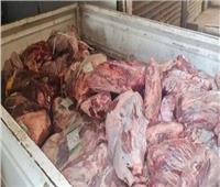 ضبط 52 طن لحوم مجهولة المصدر بالقليوبية.. خطر كان في طريقه للمواطنين