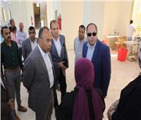 نائب المحافظ ورئيس هيئة تنمية الصعيد يتفقدان المشروعات بالعدوة وشرق النيل