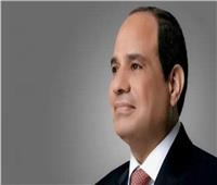 السيسي يؤكد نجاح النهج المصري خلال العقد الأخير