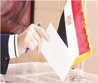 «فيسبوك» يُشعل الشرارة الأولى بسباق «النواب»