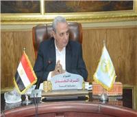ضبط مخالفات تموينية وصحية في حملة بالمحلة الكبرى