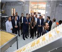 وزيرا التنمية المحلية والزراعة ومحافظ الوادي الجديد يتفقدون محطة غربلة 