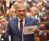 عفت السادات وكيلا العلاقات الخارجية بالشيوخ: سنواصل دعم سياسات مصر الخارجية