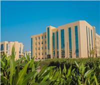 جامعة العريش تُطلق حملة شاملة للتوعية بمخاطر التعاطي والإدمان