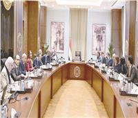 ربط مشروعات الطاقة المُتجددة بشبكة الكهرباء |مدبولى: خطوة مهمة لتوفير فاتورة استيراد المُنتجات البترولية