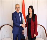 المشاط: تعزيز الجهود المشتركة مع الجانب اللبناني في المجالات الاقتصادية