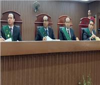 ضبط وتفتيش انتهى بحكم.. 10 سنوات سجن لعامل لحيازته سلاح بالقليوبية