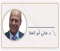 د. هاني أبو العلا يكتب : المتحف المصري الكبير - ليتحرك عبر جغرافيا مصر