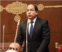 برلماني: التعاون مع دول البنلوكس بوابة مصر الاستراتيجية نحو الأسواق الأوروبية