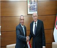 وزير الخارجية يلتقي نظيره الجزائري لبحث العلاقات الثنائية