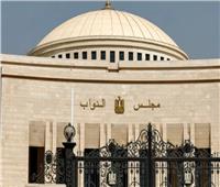 إقبال كثيف على لجان الاقتراع بدبي في انتخابات مجلس النواب للمصريين بالخارج‎
