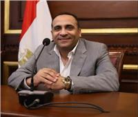 نادر نسيم: المصريون بالخارج يكتبون ملحمة وطنية في صناديق اقتراع مجلس النواب‎